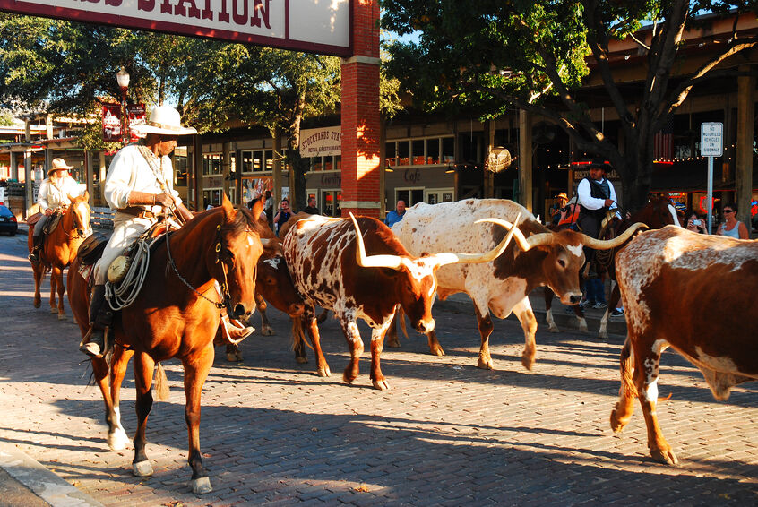 Five fun things to do in the Dallas/Fort Worth area